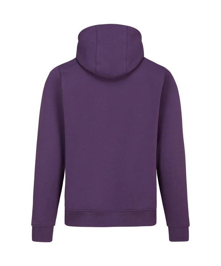 Formula E Men's Hoodie Purple 2025-Fanwear