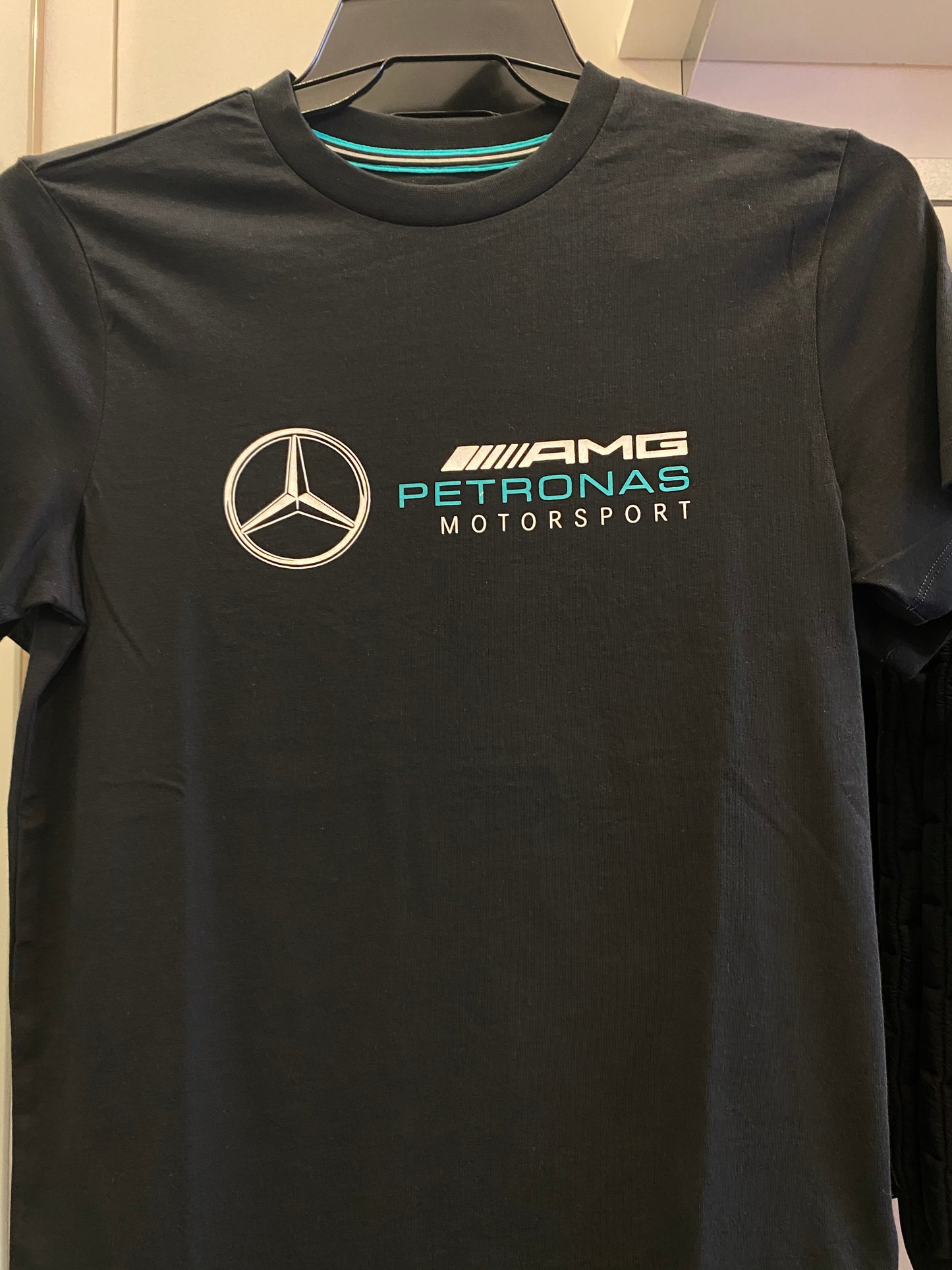 Mercedes-AMG Petronas Motorsport Mens Large Logo T-Shirt 2020 Black - Fanwear