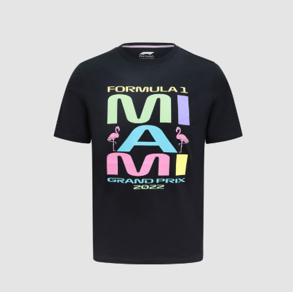 F1 Men's Pastel Miami Graphic T-Shirt Black-Fanwear