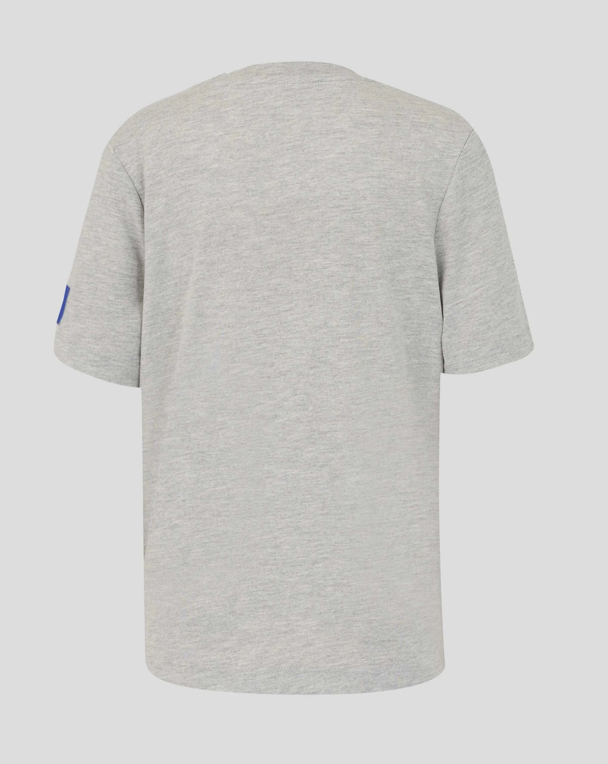 Red Bull Racing Oracle Logo Regular Fit T-Shirt Grey 2026 - Fanwear
