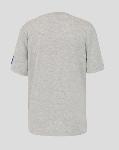 Red Bull Racing Oracle Logo Regular Fit T-Shirt Grey 2026 - Fanwear