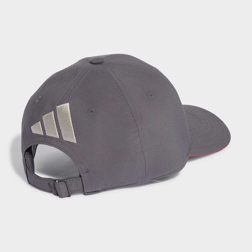 Audi F1 Team Team Baseball Cap Grey 2026 - RP Teamwear