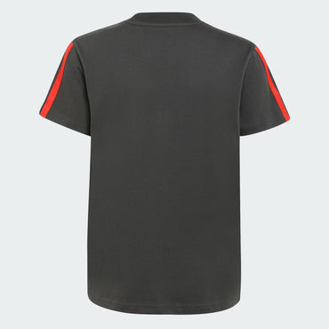 Audi F1 Team Men's DNA T-Shirt Utility Black 2026 - Fanwear