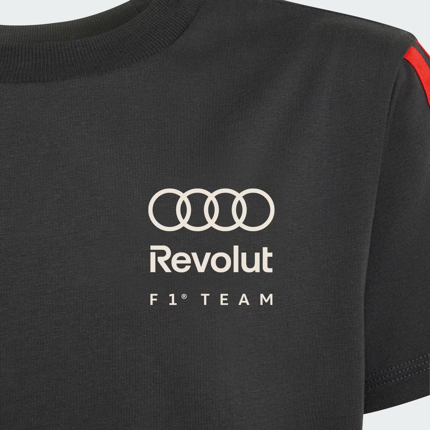 Audi F1 Team Men's DNA T-Shirt Utility Black 2026 - Fanwear