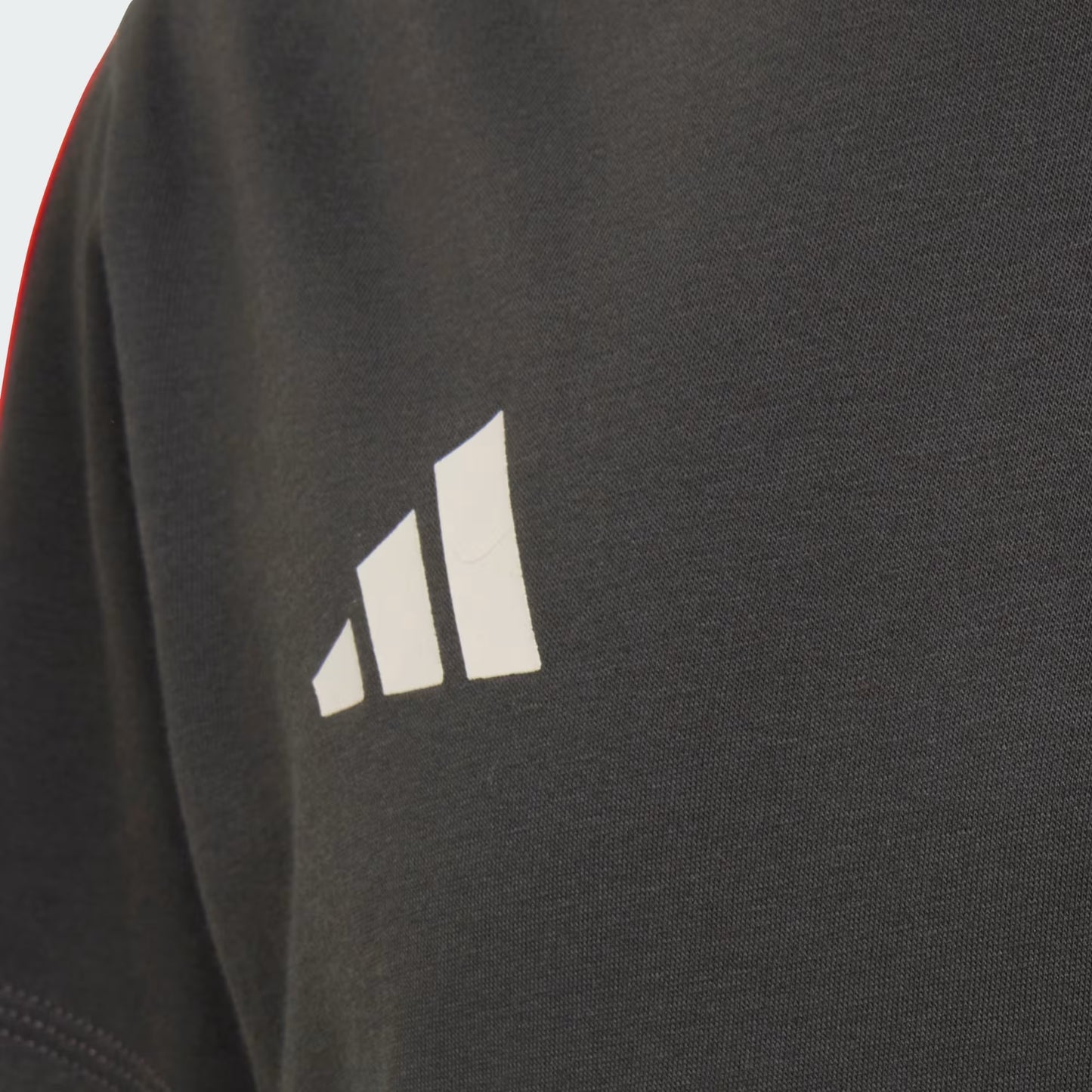 Audi F1 Team Men's DNA T-Shirt Utility Black 2026 - Fanwear