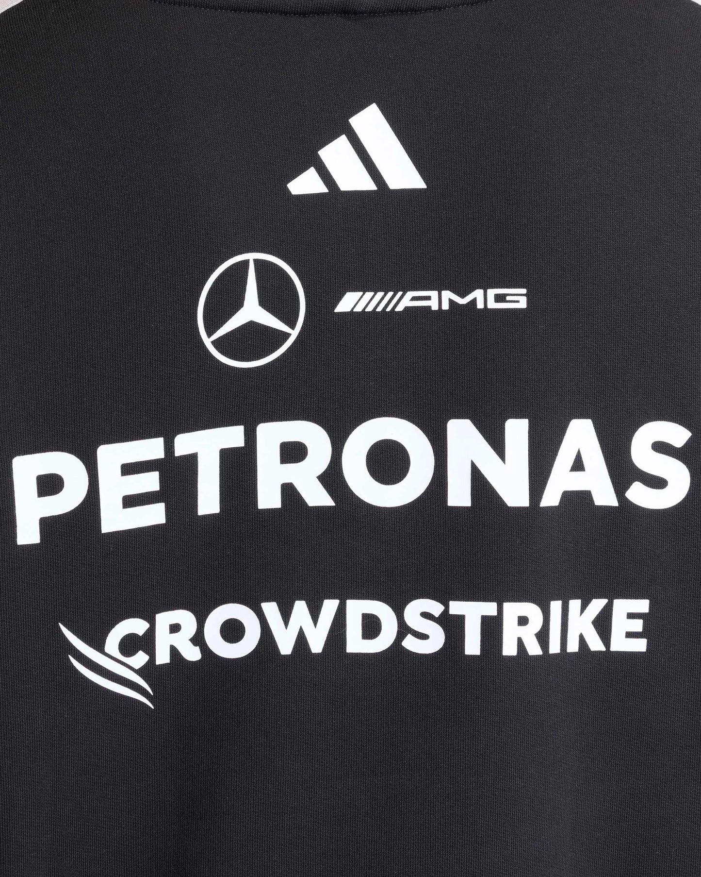 Mercedes-AMG Petronas Formula 1 Team Men's Driver Hoodie Jacket Black 2026 - Fanwear