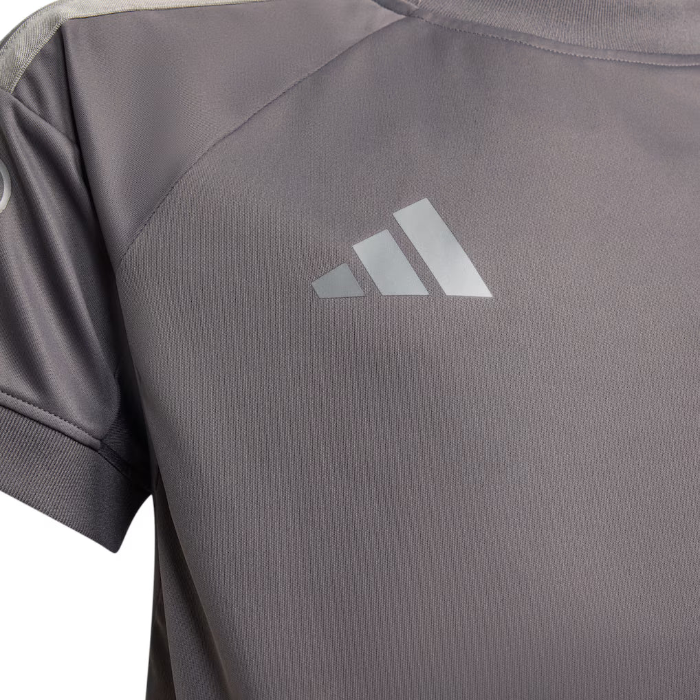 Audi F1 Team Driver Jersey Short Sleeve Grey 2026 - RP Teamwear