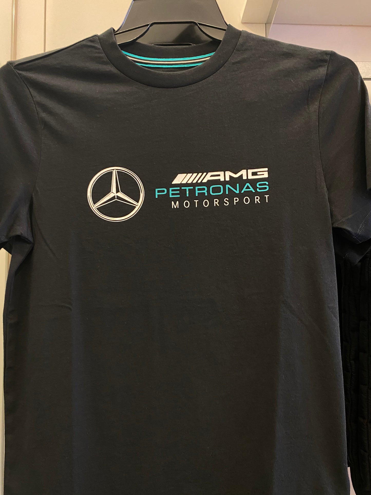 Mercedes-AMG Petronas Motorsport Mens Large Logo T-Shirt 2020 Black - Fanwear